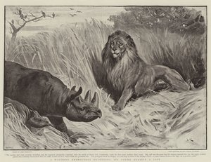 Un rinoceronte herido defendiendo a su cría contra un león